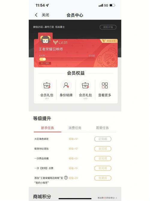 王者荣耀各等级经验值怎么看（王者荣耀如何查看等级经验）-第3张图片-无暮网