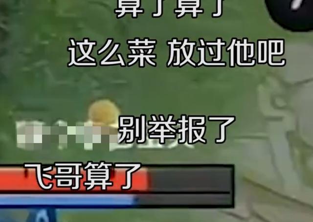 王者匹配的队友越来越菜（王者匹配的队友太菜）