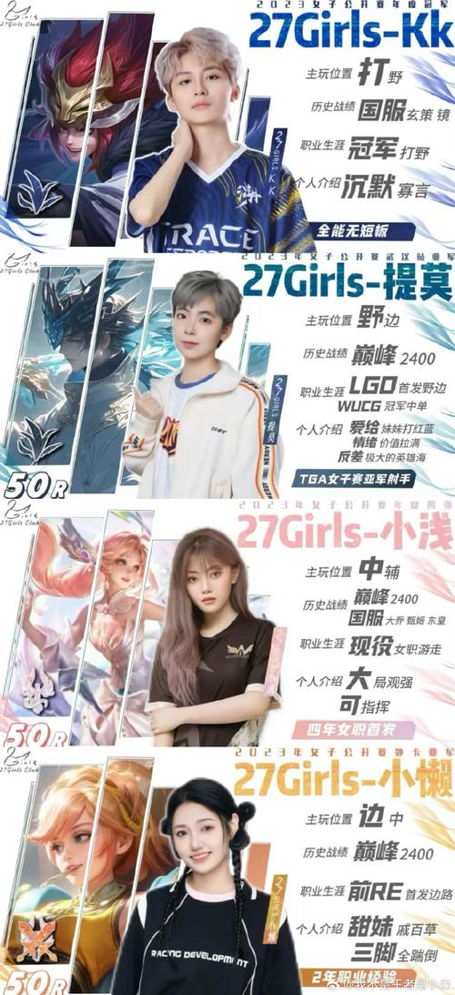 王者的五个职业有哪些名字(王者有哪几个职业)-第2张图片-无暮网 王者的五个职业有哪些名字(王者有哪几个职业)-第2张图片-无暮网