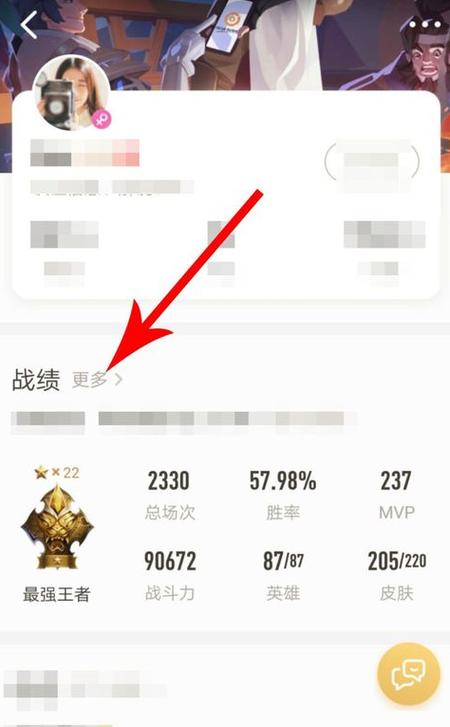 王者怎么查看别人对局战绩信息（王者怎么看别人战绩的队友）-第4张图片-无暮网