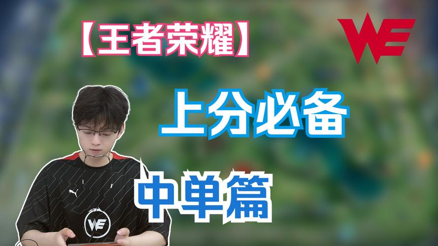 王者荣耀职业类型（王者荣耀里的职业）-第6张图片-无暮网