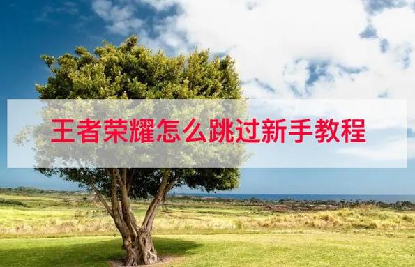 王者的新手教程如何跳过动画(王者教学怎么跳过)-第2张图片-无暮网 王者的新手教程如何跳过动画(王者教学怎么跳过)-第2张图片-无暮网