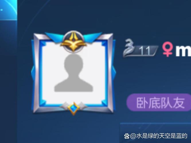 王者主页头像不显示出来怎么办(王者主页头像一直显示不过来)-第1张图片-无暮网 王者主页头像不显示出来怎么办(王者主页头像一直显示不过来)-第1张图片-无暮网