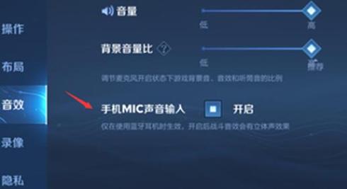 王者荣耀里怎么开语音聊天(王者荣耀里怎么开语音聊天功能)-第1张图片-无暮网 王者荣耀里怎么开语音聊天(王者荣耀里怎么开语音聊天功能)-第1张图片-无暮网