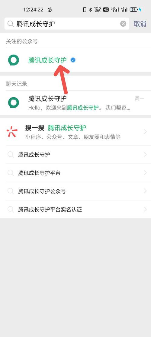 怎么看王者英雄购买记录查询,怎么看王者英雄购买记录查询结果