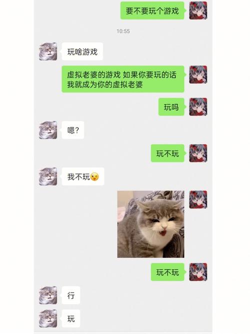 打王者的女人是什么样的人,打王者荣耀的女生有多可怕
