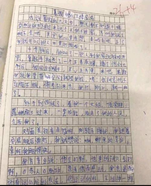 玩王者荣耀的感受作文500字（玩王者荣耀后的感想）