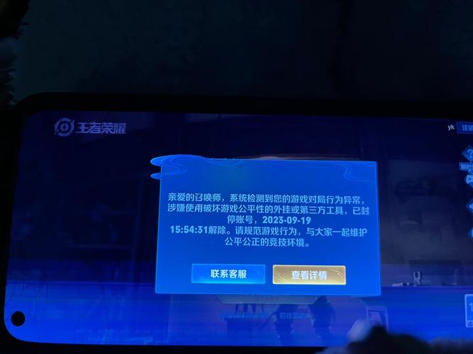 王者荣耀申诉有人成功过吗,王者荣耀申诉有人成功过吗怎么办-第7张图片-无暮网
