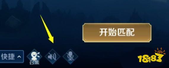 王者荣耀语音显示不出来(王者荣耀语音显示不出来怎么设置)-第7张图片-无暮网 王者荣耀语音显示不出来(王者荣耀语音显示不出来怎么设置)-第7张图片-无暮网