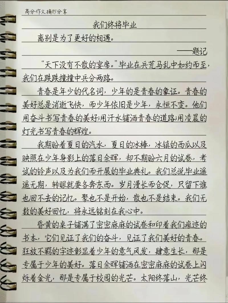 打王者的心得体会300字怎么写(玩王者的心得体会)-第8张图片-无暮网 打王者的心得体会300字怎么写(玩王者的心得体会)-第8张图片-无暮网
