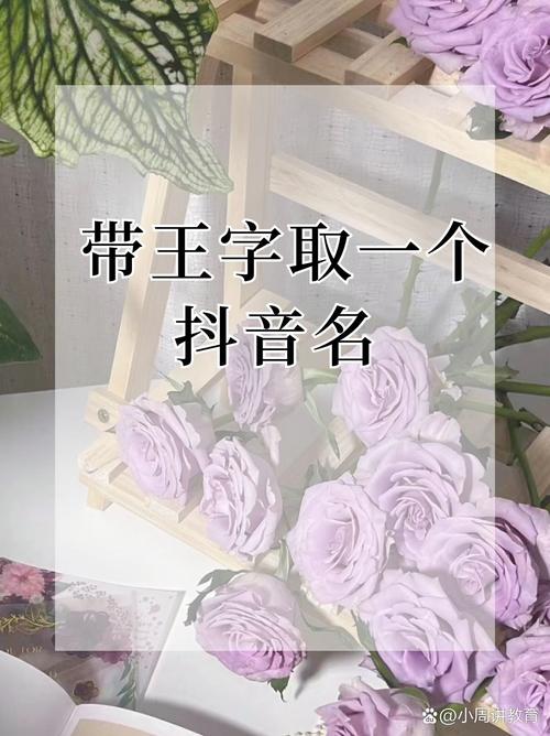 王者游戏一个字的名字女生(王者游戏一个字的名字女生可爱)-第4张图片-无暮网 王者游戏一个字的名字女生(王者游戏一个字的名字女生可爱)-第4张图片-无暮网