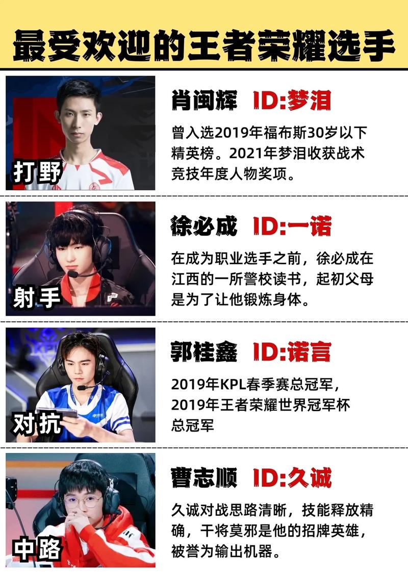 王者认证职业选手有什么用,王者荣耀职业选手认证申请-第5张图片-无暮网 王者认证职业选手有什么用,王者荣耀职业选手认证申请-第5张图片-无暮网