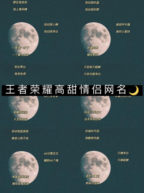 有趣的王者荣耀cp名字大全女生,有趣的王者荣耀cp名字大全女生英文-第6张图片-无暮网