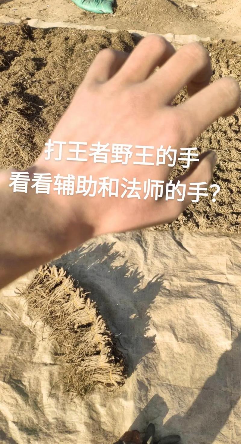 王者荣耀点赞旁边是什么意思,王者荣耀点赞旁边像火一样的图标-第1张图片-无暮网 王者荣耀点赞旁边是什么意思,王者荣耀点赞旁边像火一样的图标-第1张图片-无暮网