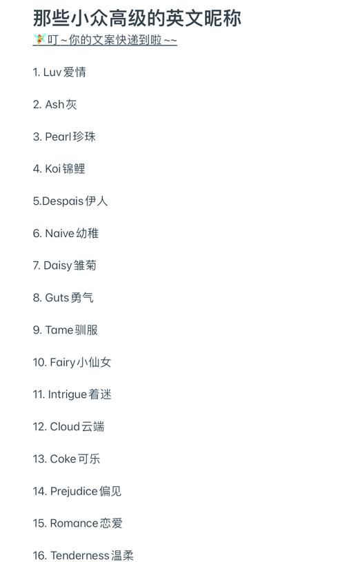 王者荣耀辅助的英文翻译怎么写,王者辅助英文名-第2张图片-无暮网 王者荣耀辅助的英文翻译怎么写,王者辅助英文名-第2张图片-无暮网