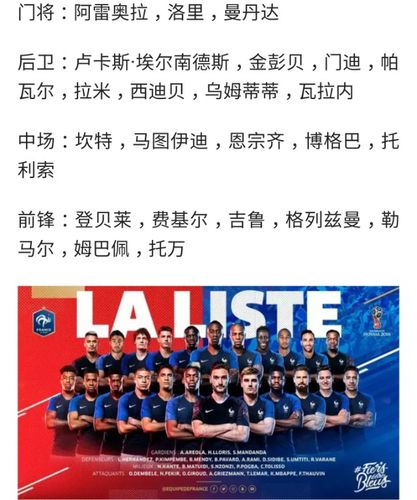 2014年法国队世界杯阵容(14年世界杯法国队主力)-第6张图片-无暮网 2014年法国队世界杯阵容(14年世界杯法国队主力)-第6张图片-无暮网