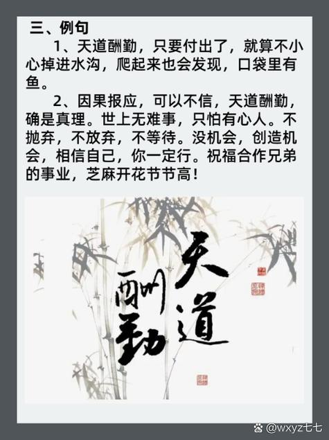 nba塞克斯顿近来在哪支球队,塞克斯顿成名战-第2张图片-无暮网 nba塞克斯顿近来在哪支球队,塞克斯顿成名战-第2张图片-无暮网