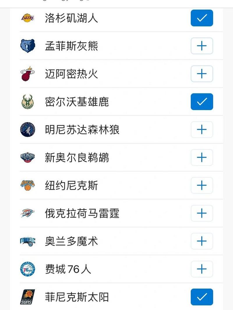 美国篮球相关简介(美国篮球运动)-第5张图片-无暮网 美国篮球相关简介(美国篮球运动)-第5张图片-无暮网