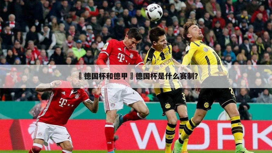 德甲是什么(德甲是什么比赛项目)-第4张图片-无暮网 德甲是什么(德甲是什么比赛项目)-第4张图片-无暮网