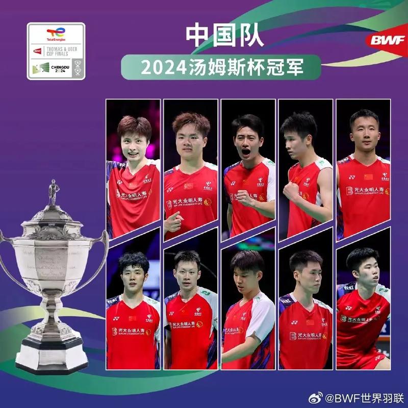 苏迪曼杯为世界羽毛球什么赛(苏迪曼杯羽毛球在哪举行)-第4张图片-无暮网 苏迪曼杯为世界羽毛球什么赛(苏迪曼杯羽毛球在哪举行)-第4张图片-无暮网