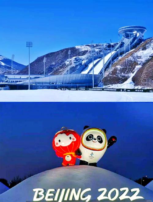 23届冬奥会是哪一年,23届冬奥会在哪个国家-第6张图片-无暮网 23届冬奥会是哪一年,23届冬奥会在哪个国家-第6张图片-无暮网