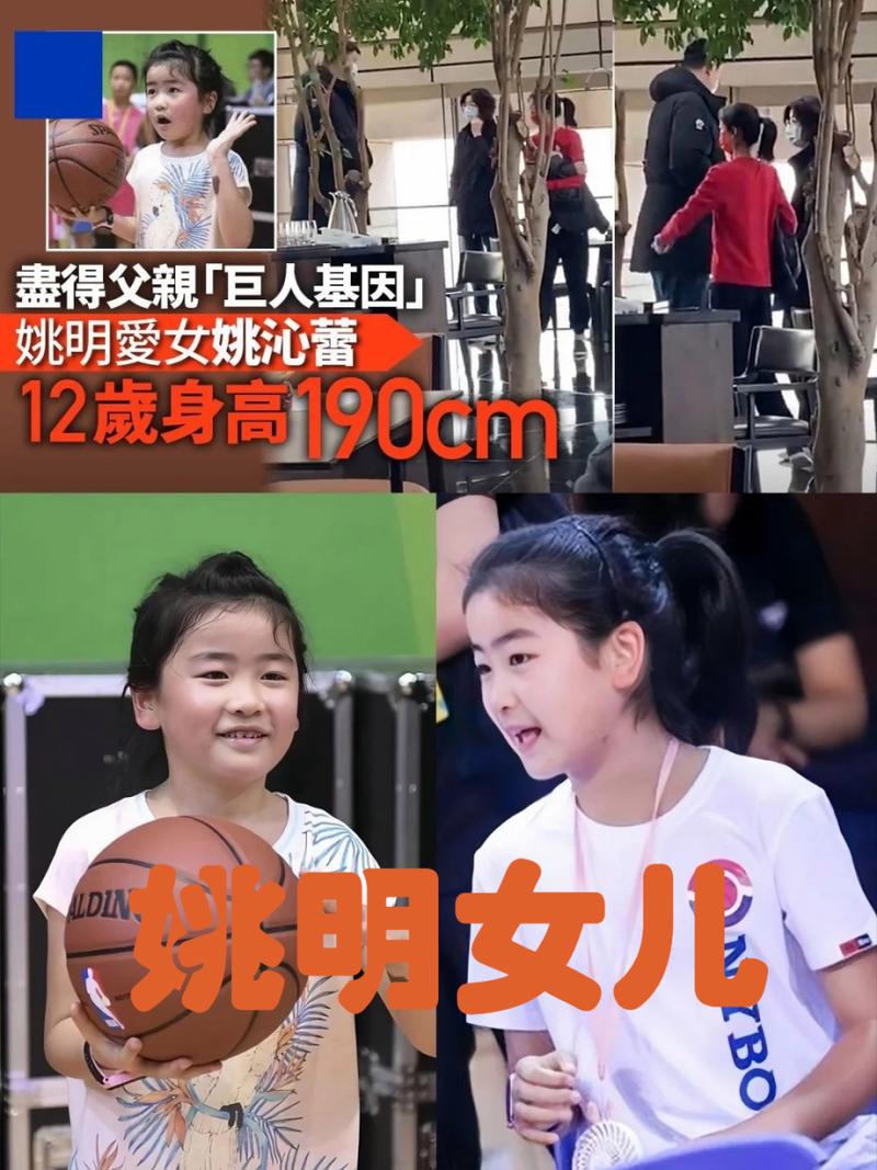 姚明的女儿是谁（姚明的女儿多好）-第6张图片-无暮网