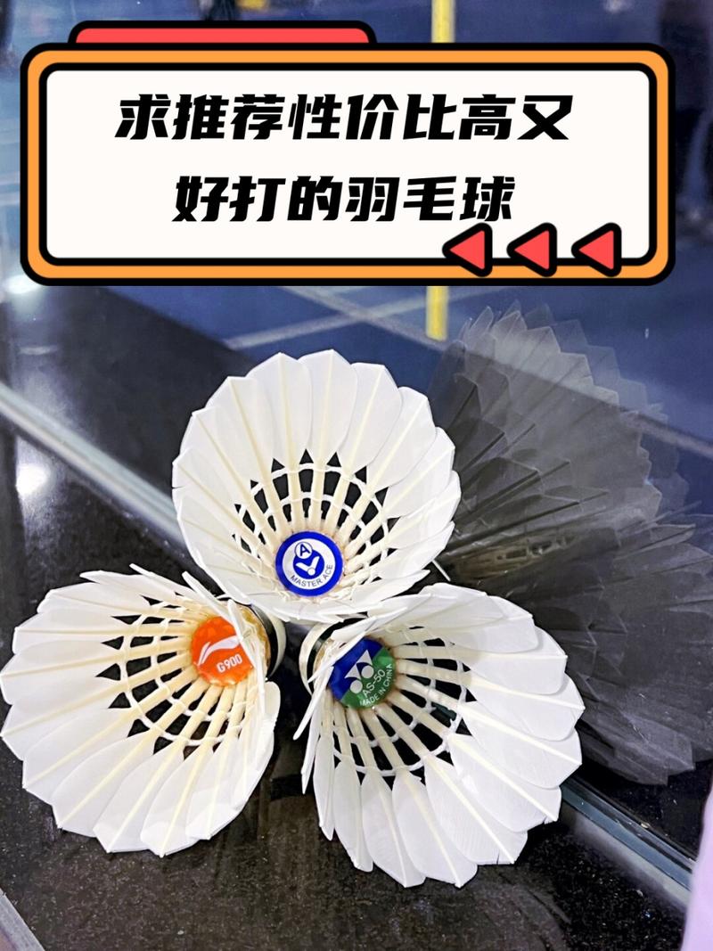 什么羽毛球耐打又实惠,什么羽毛球耐打又实惠又好打-第6张图片-无暮网 什么羽毛球耐打又实惠,什么羽毛球耐打又实惠又好打-第6张图片-无暮网