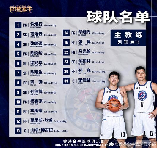 布鲁克林篮网的英文,布鲁克林篮网的英文名-第1张图片-无暮网 布鲁克林篮网的英文,布鲁克林篮网的英文名-第1张图片-无暮网