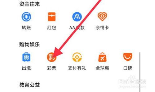 支付宝能买世界杯彩票吗(支付宝能不能买欧洲杯彩票)-第3张图片-无暮网 支付宝能买世界杯彩票吗(支付宝能不能买欧洲杯彩票)-第3张图片-无暮网