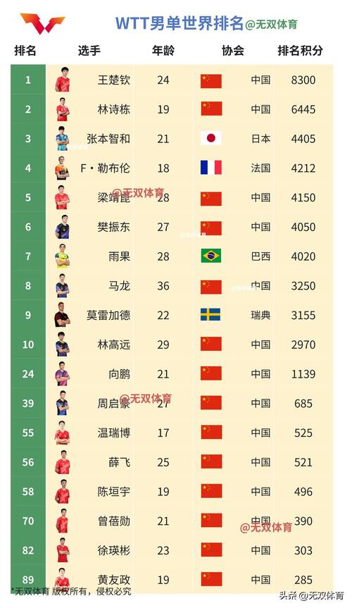 2019乒乓球德国公开赛名单,2019德国乒乓球公开赛孙颖莎女单决赛视频-第5张图片-无暮网 2019乒乓球德国公开赛名单,2019德国乒乓球公开赛孙颖莎女单决赛视频-第5张图片-无暮网