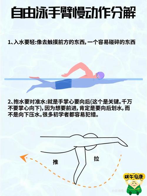 怎样学会自由泳,怎样学好自由泳示范动作-第2张图片-无暮网 怎样学会自由泳,怎样学好自由泳示范动作-第2张图片-无暮网