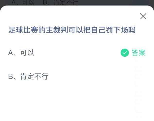 足球裁判可以把自己罚下场吗,足球裁判可以改判吗-第5张图片-无暮网 足球裁判可以把自己罚下场吗,足球裁判可以改判吗-第5张图片-无暮网