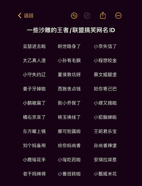 王者荣耀装备昵称大全,王者的装备名字-第3张图片-无暮网