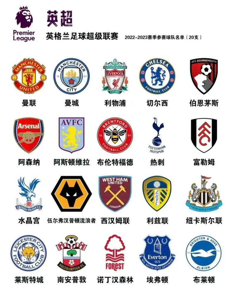 英超是谁管理的,英超原来叫什么-第8张图片-无暮网 英超是谁管理的,英超原来叫什么-第8张图片-无暮网