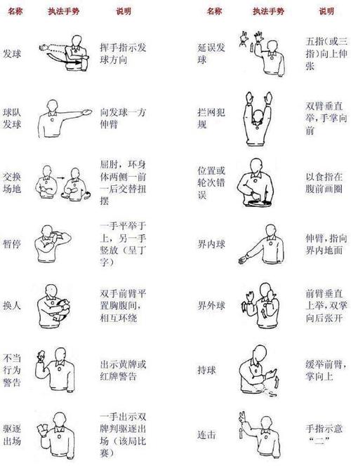 排球比赛发球后每队可接触球几次(排球比赛中发球时间为几秒)-第5张图片-无暮网 排球比赛发球后每队可接触球几次(排球比赛中发球时间为几秒)-第5张图片-无暮网