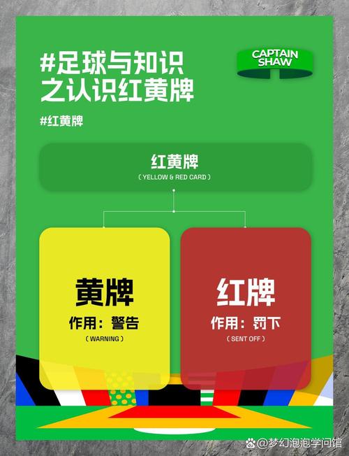 英超判罚点球规则(英超 点球)-第5张图片-无暮网 英超判罚点球规则(英超 点球)-第5张图片-无暮网