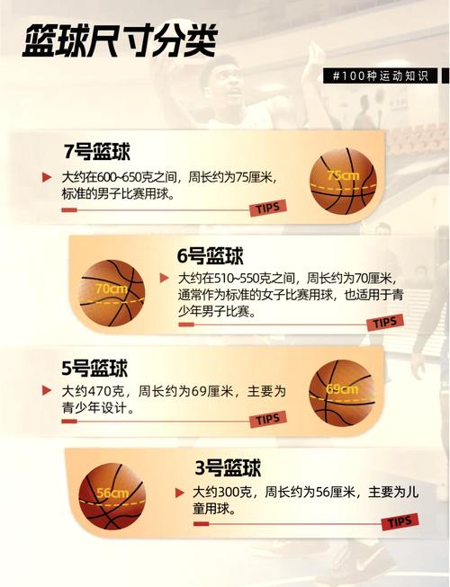 nba篮球框直径是多少(nba比赛篮球框多高)-第7张图片-无暮网 nba篮球框直径是多少(nba比赛篮球框多高)-第7张图片-无暮网
