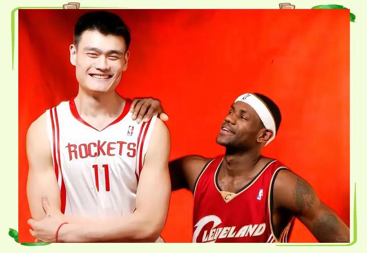 姚明入选nba是哪一年,姚明入选nba是哪一年的-第6张图片-无暮网