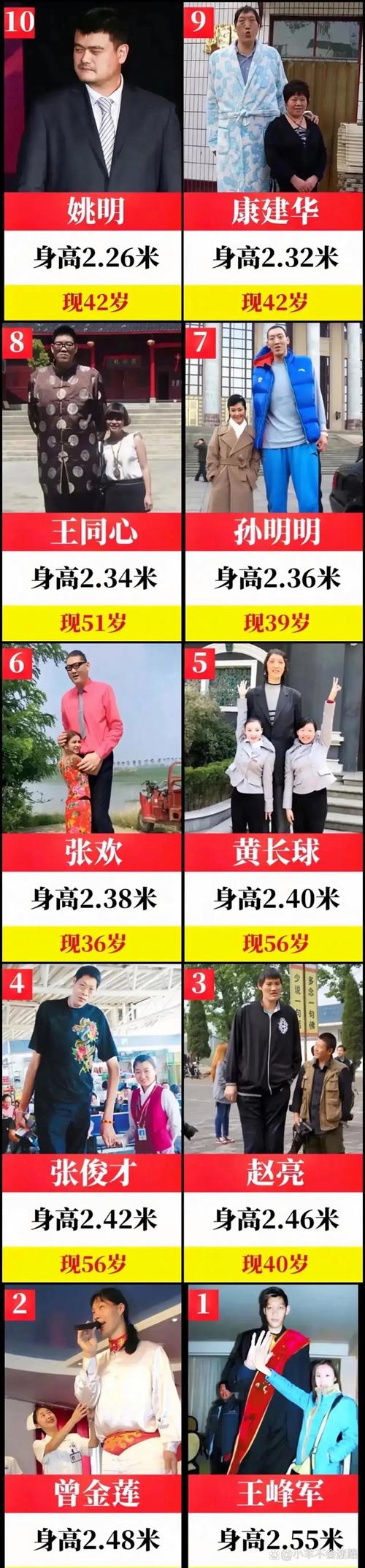 姚明究竟有多高(你知道姚明有多高吗)-第5张图片-无暮网 姚明究竟有多高(你知道姚明有多高吗)-第5张图片-无暮网
