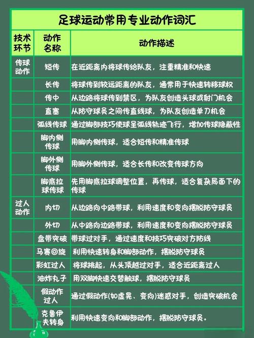 足球上场队员有多少人(足球队上场有几个人组成)-第3张图片-无暮网 足球上场队员有多少人(足球队上场有几个人组成)-第3张图片-无暮网