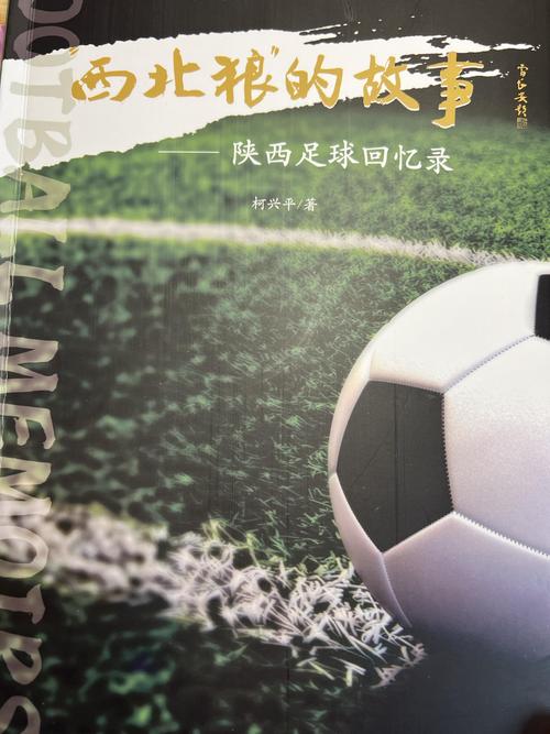 各省足球队实力排名(各省足球队名字)-第5张图片-无暮网 各省足球队实力排名(各省足球队名字)-第5张图片-无暮网