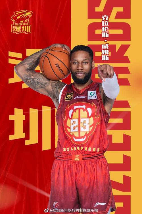 威姆斯为什么不去nba(威姆斯为什么来cba)-第3张图片-无暮网 威姆斯为什么不去nba(威姆斯为什么来cba)-第3张图片-无暮网