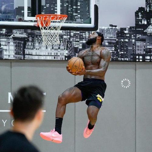 nba体测数据卧推,nba球员体测卧推-第7张图片-无暮网