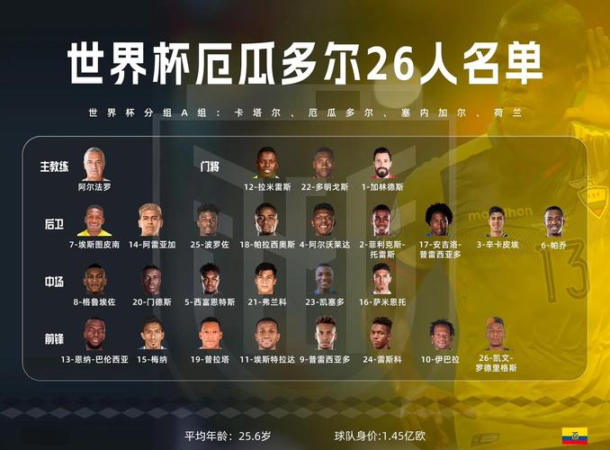世界杯共有几支球队(世界杯共有几支球队参加)-第4张图片-无暮网 世界杯共有几支球队(世界杯共有几支球队参加)-第4张图片-无暮网