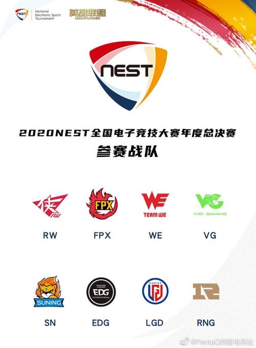 nest是什么比赛,nest在哪里比赛