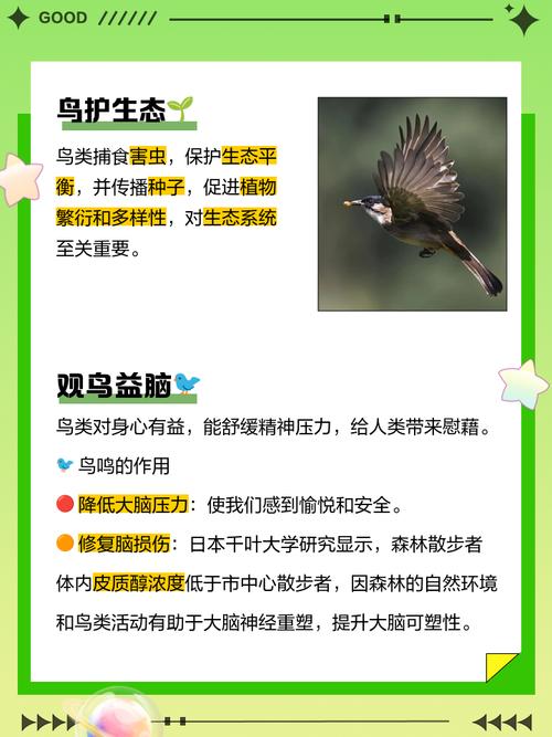 鹈鹕太阳分析,鹈鹕2021-第4张图片-无暮网 鹈鹕太阳分析,鹈鹕2021-第4张图片-无暮网