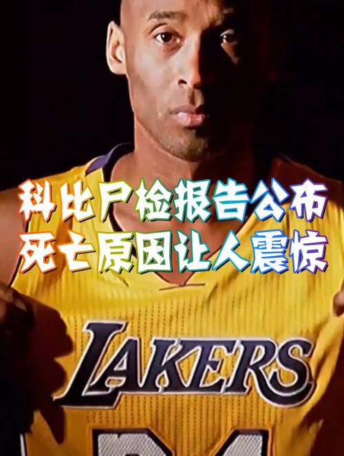 科比的尸体成什么样子了的简单介绍-第7张图片-无暮网 科比的尸体成什么样子了的简单介绍-第7张图片-无暮网