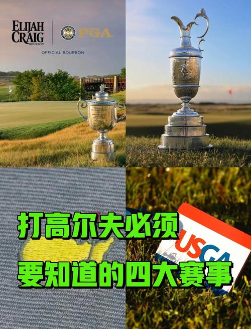高尔夫比较高级别赛事是哪个（高尔夫比较高段位）-第7张图片-无暮网