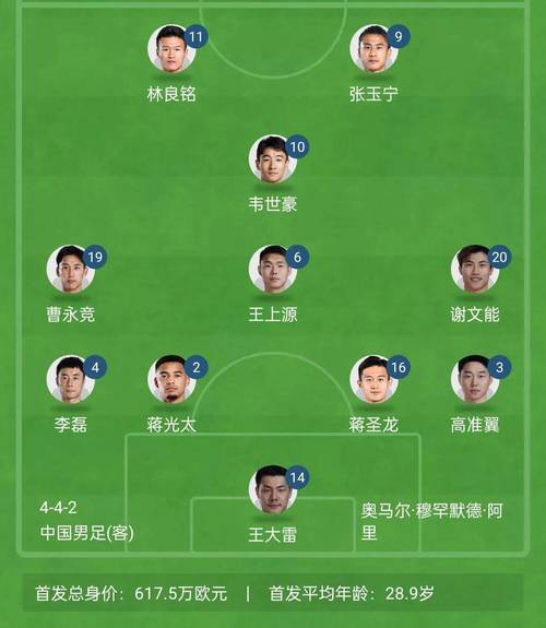 2004年亚洲杯决赛国足首发名单,2004年亚洲杯足球赛-第5张图片-无暮网 2004年亚洲杯决赛国足首发名单,2004年亚洲杯足球赛-第5张图片-无暮网