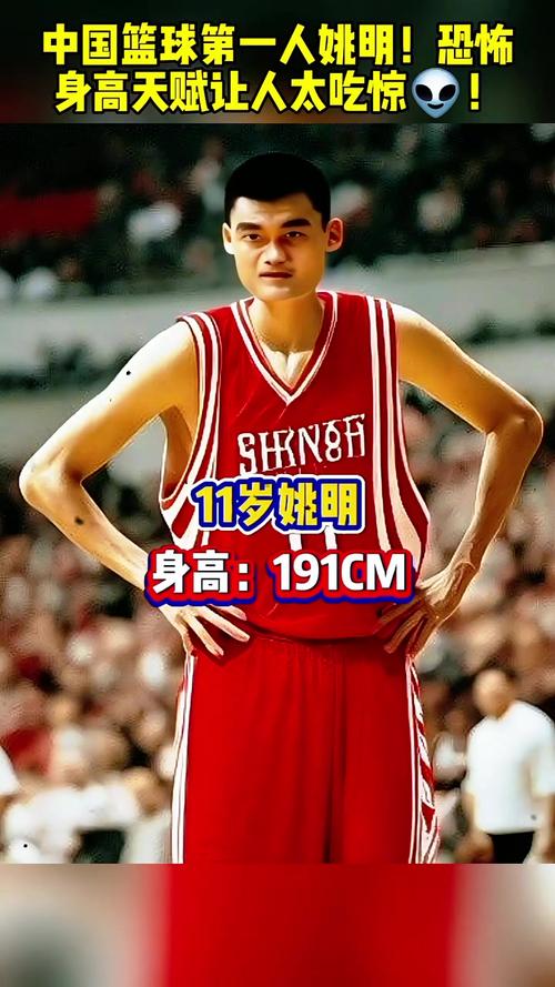 姚明学校在哪个学校,姚明去哪个学校了-第2张图片-无暮网